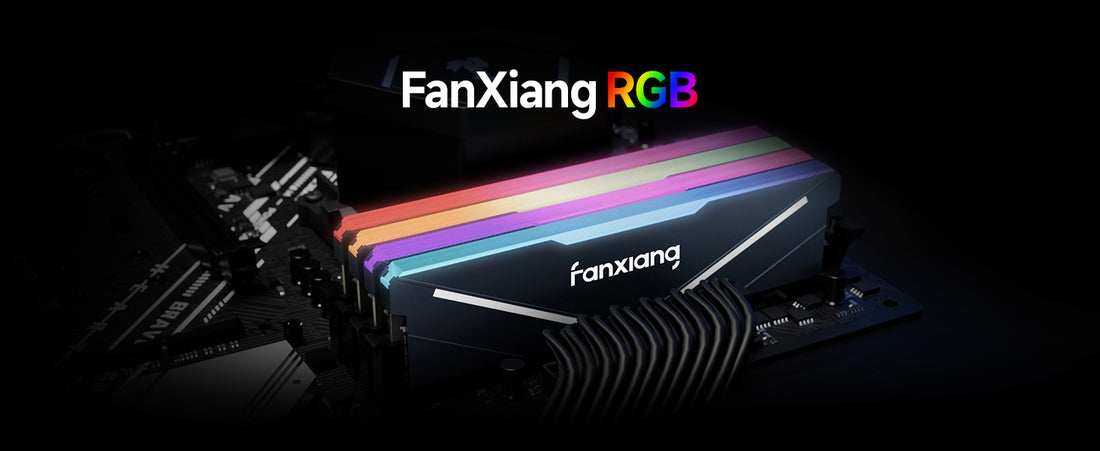 DDR RAM