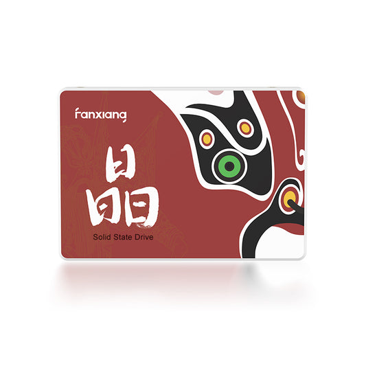FanXiang S100